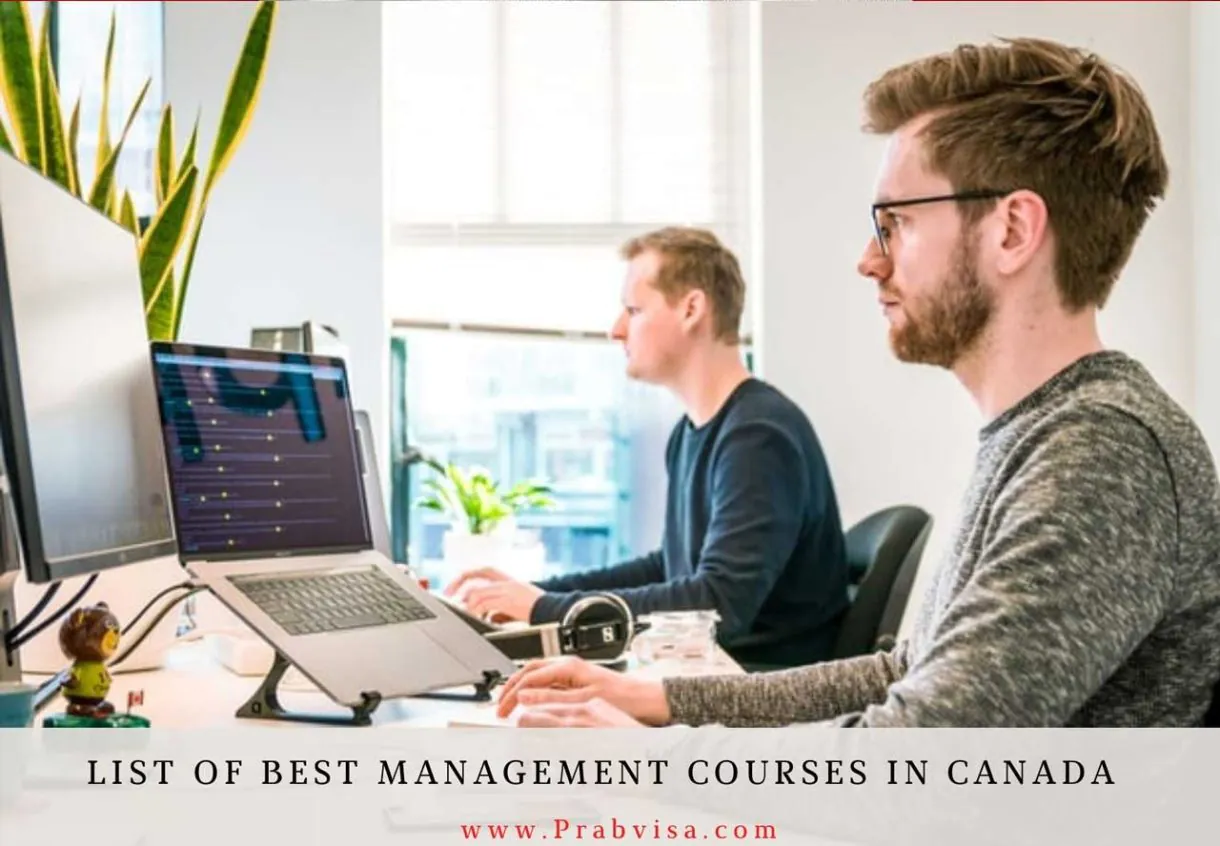 best course to study in canada