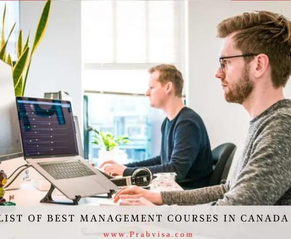 best course to study in canada