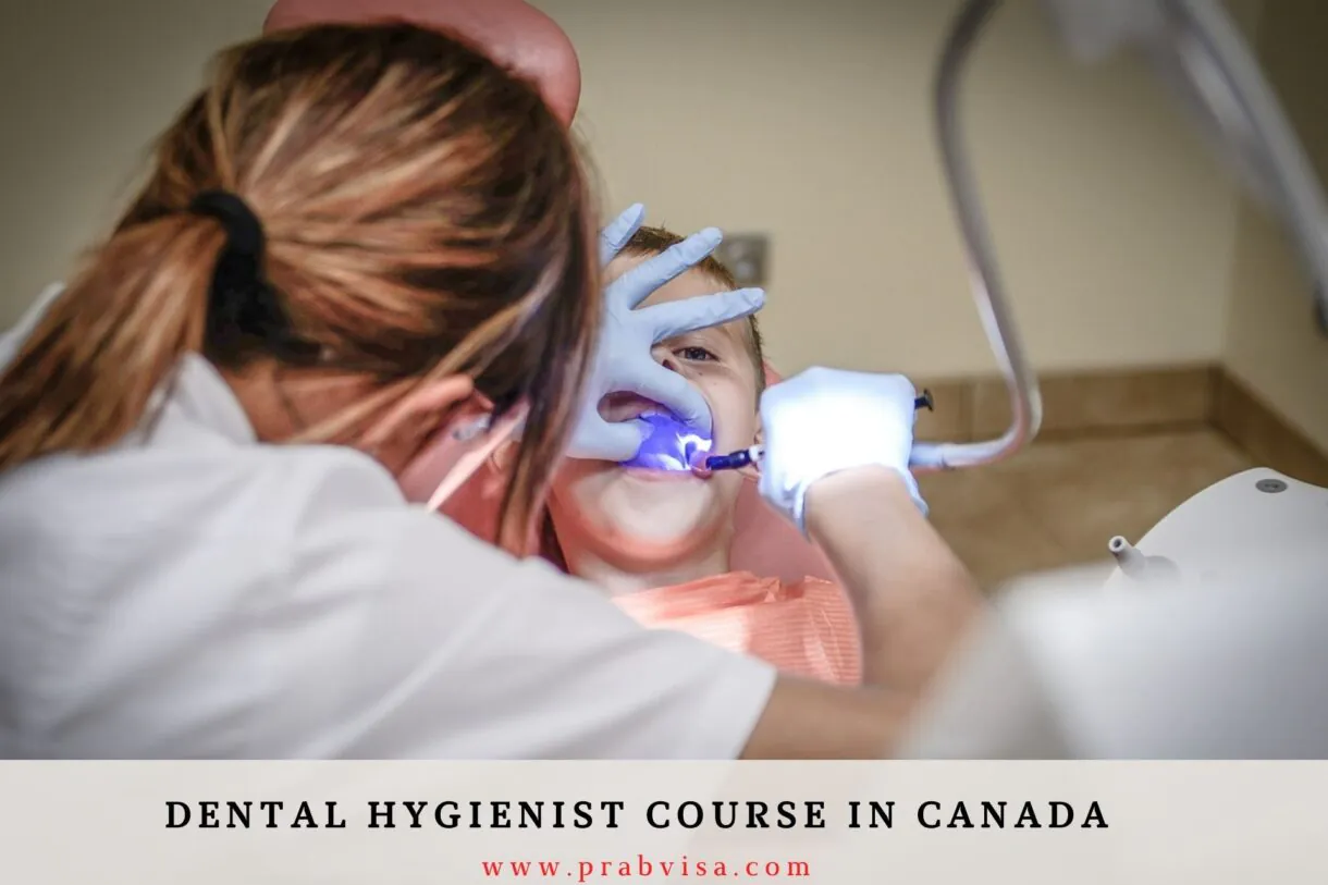 Dental hygienist course in Canada - prabvisa.com