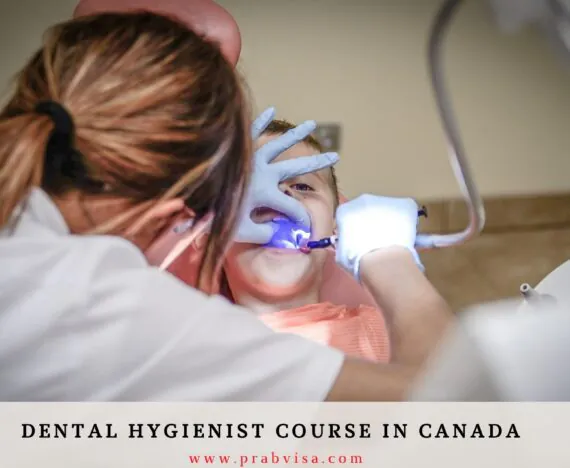 Dental hygienist course in Canada - prabvisa.com