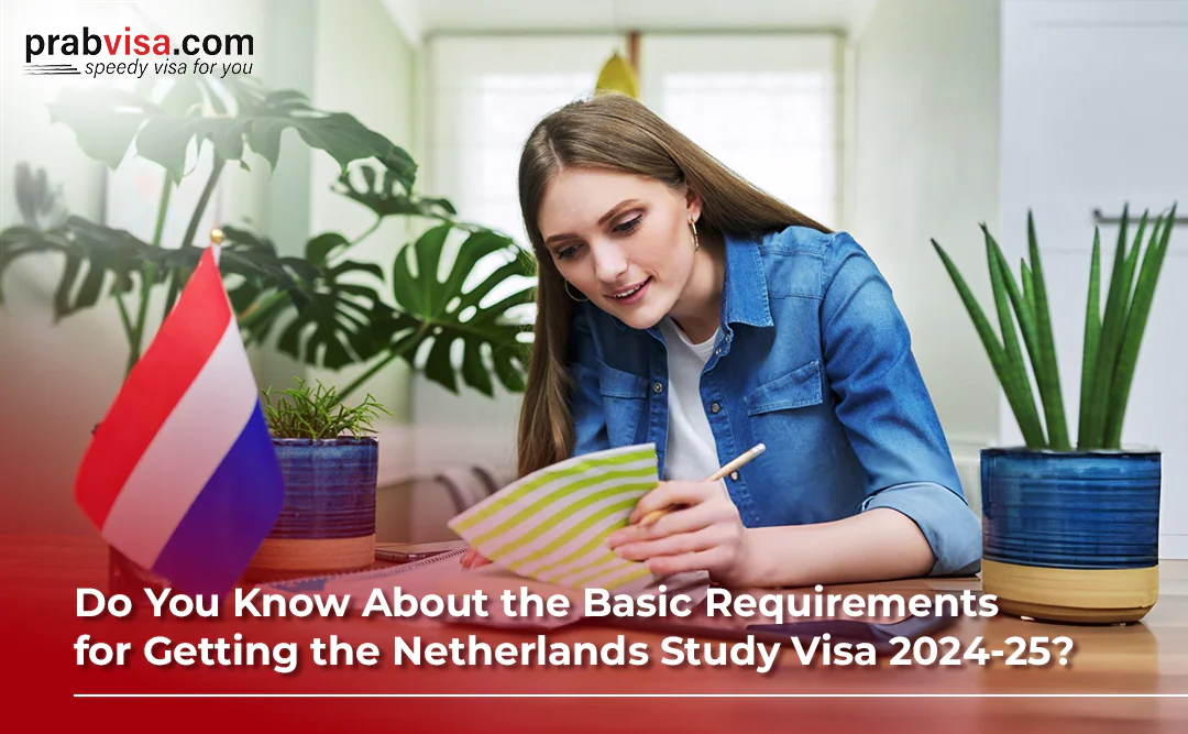 Basic Requirements for Getting the Netherlands Study Visa